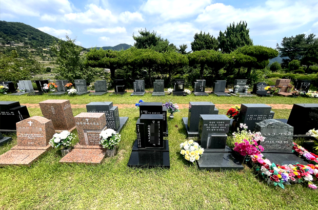 토지 개발 및 소유권 변경